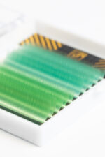 77324443da7011ef9267000c29074700_ec68e0b0f1d611ef926a000c29074700