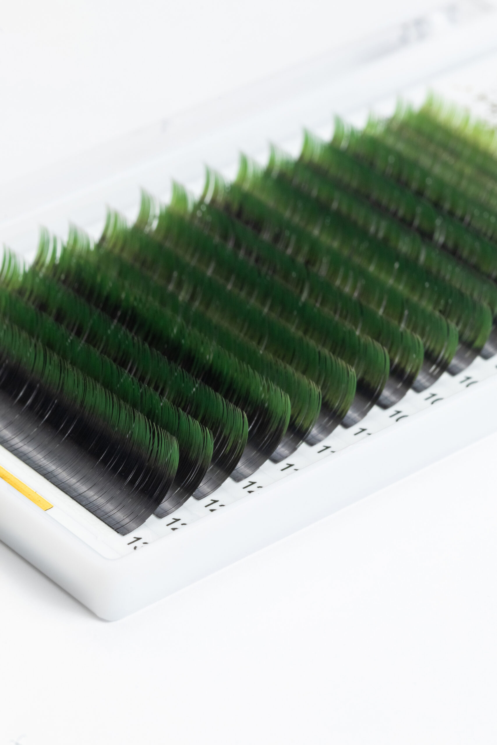 d615f3b8044011ee9266001999bfa0ee_adf46529eecd11ef926a000c29074700