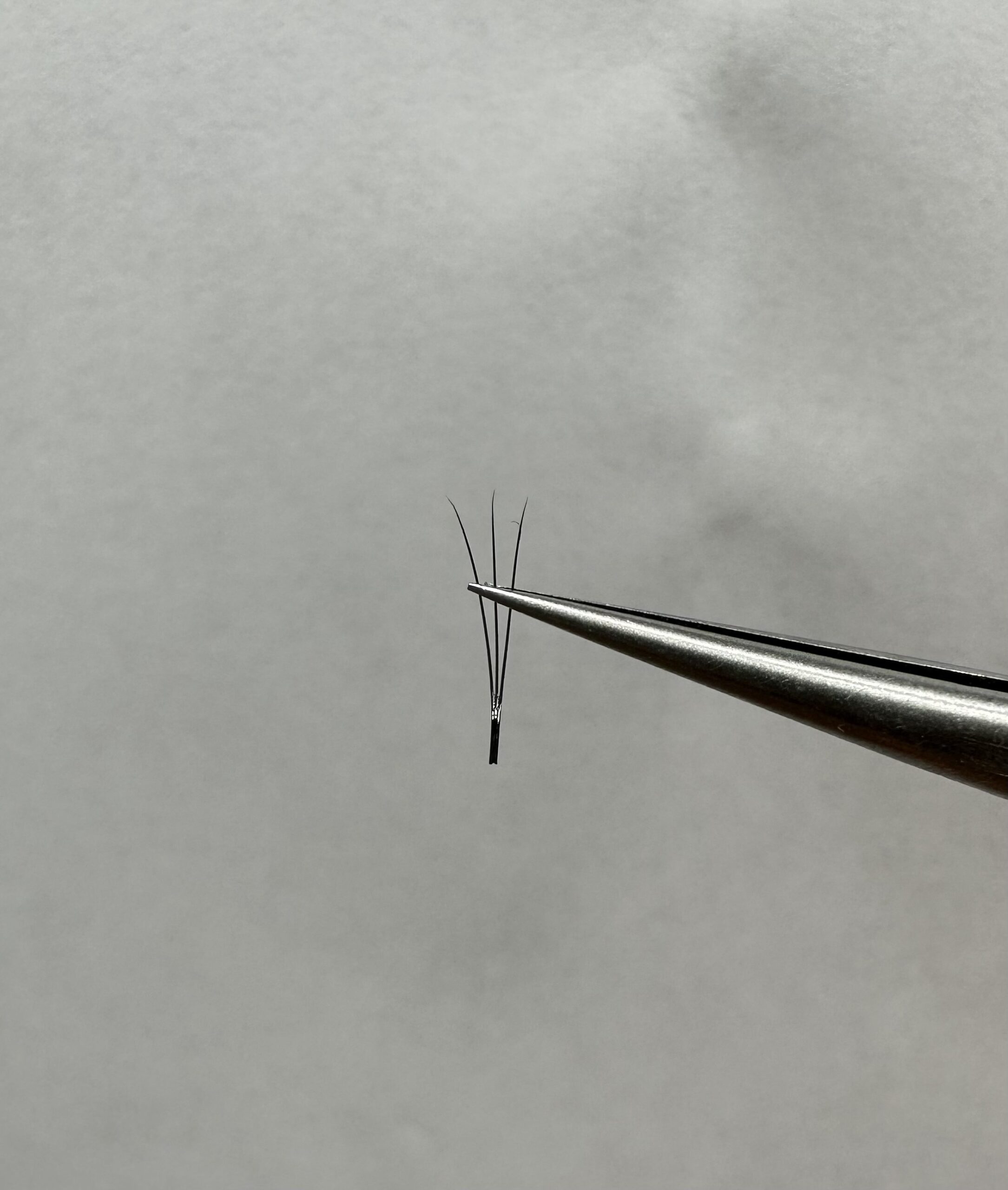 d615f3d4044011ee9266001999bfa0ee_b094efec513811eea4c7d3a2cf57111f